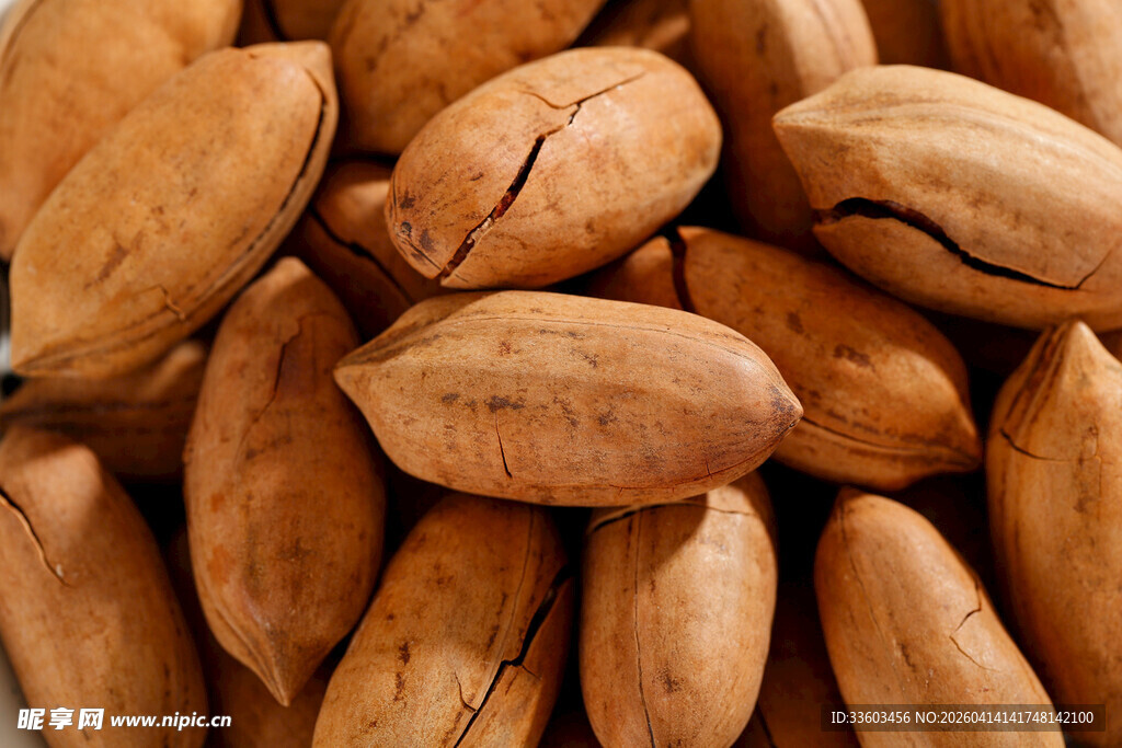 一堆美味的开口香榧