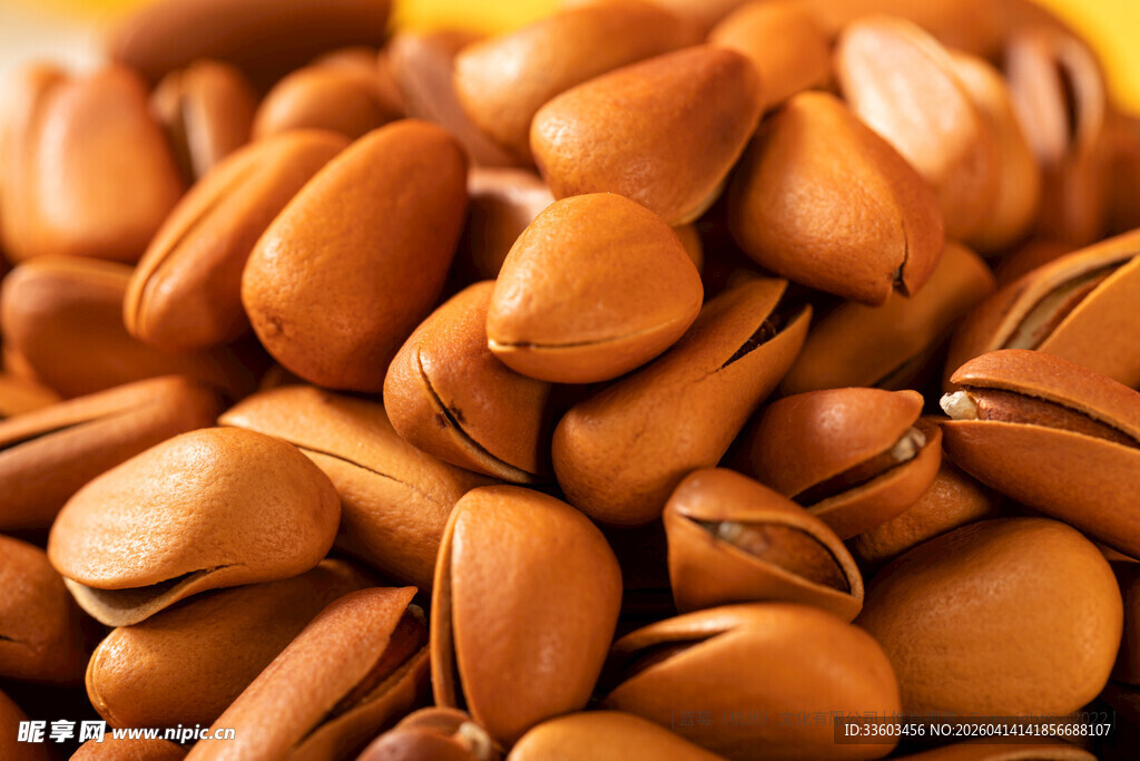 饱满美味的松子特写