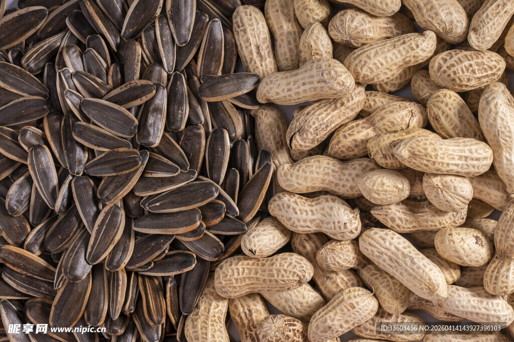 花生与瓜子的美味组合