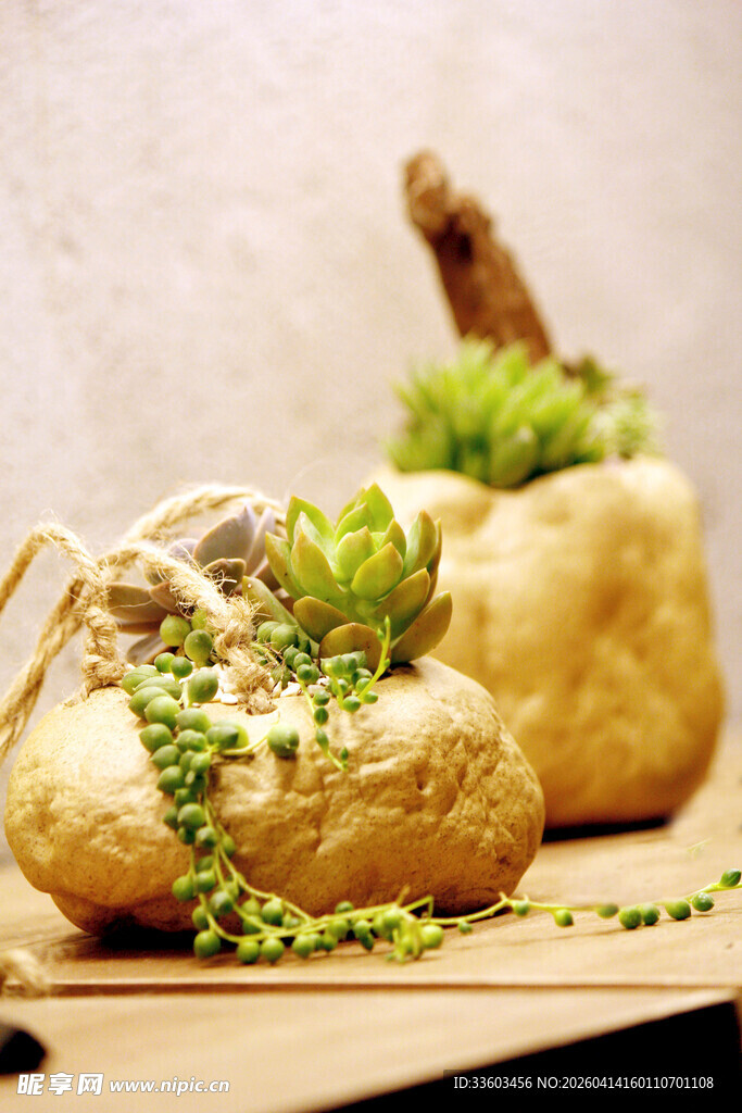 创意绿植土豆盆栽摆件