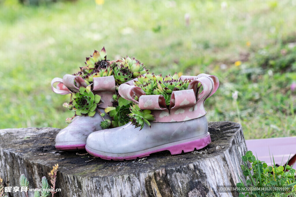 树桩上的花草装饰雨靴