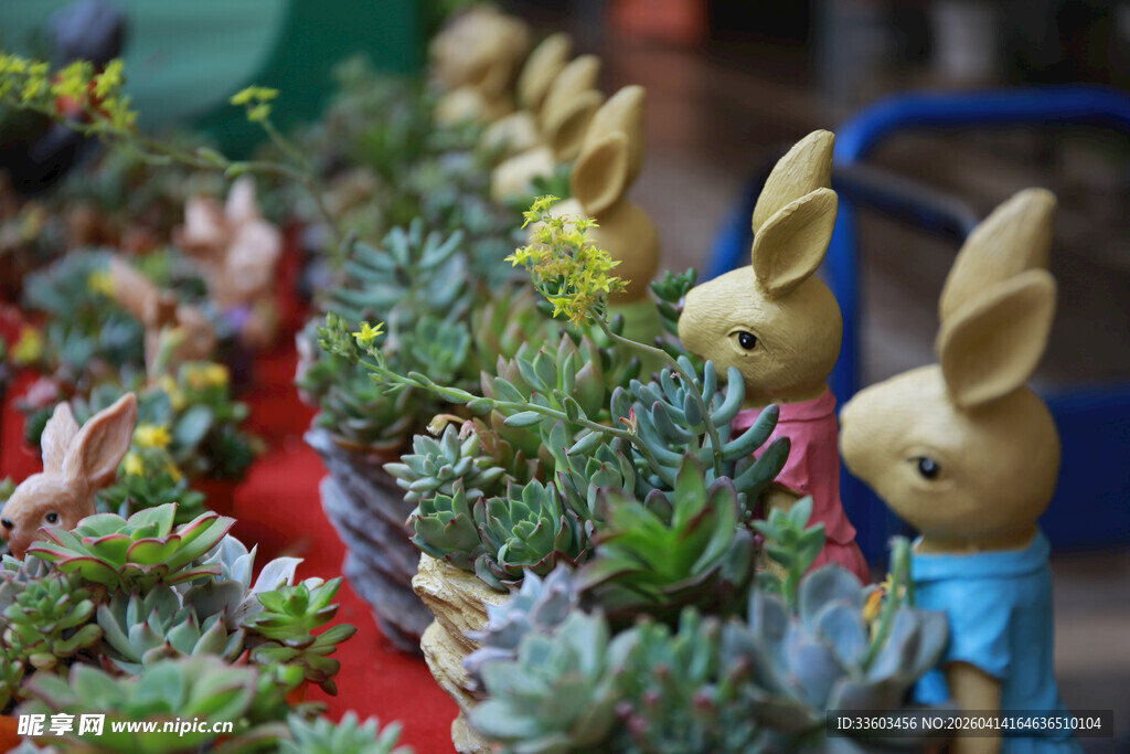 兔子摆件与多肉植物组合