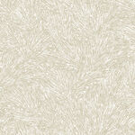 米白色纹理墙纸图案