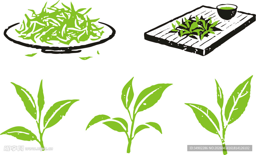 矢量茶叶