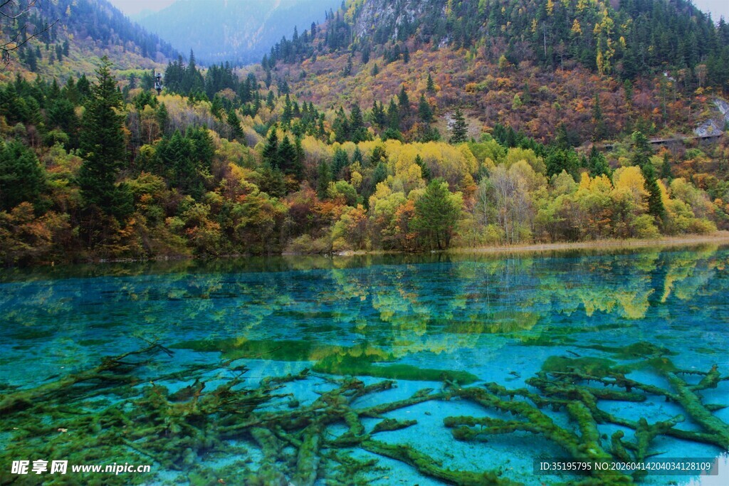九寨沟绝美清澈的蓝绿色湖水