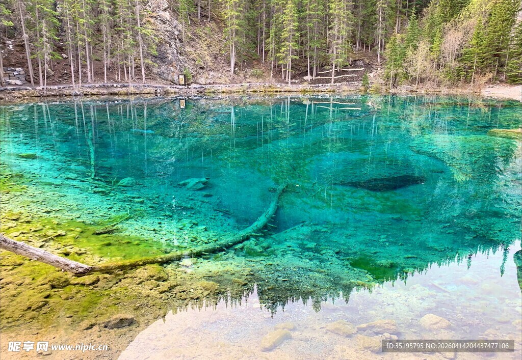 清澈幽蓝的森林中的湖水