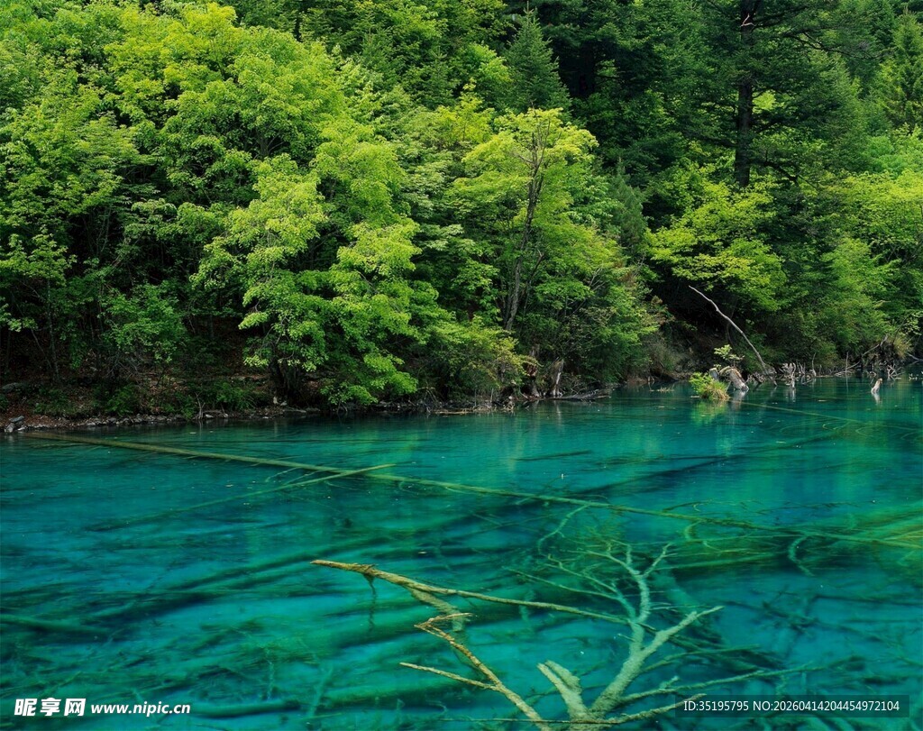 翠绿山林间的幽蓝清澈湖水