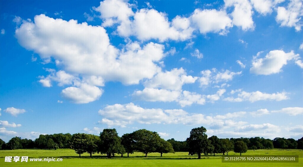 蓝天白云下的广袤绿野