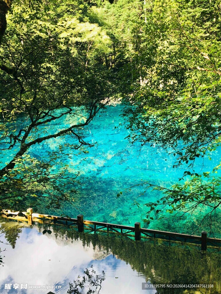 梦幻蓝湖映翠林