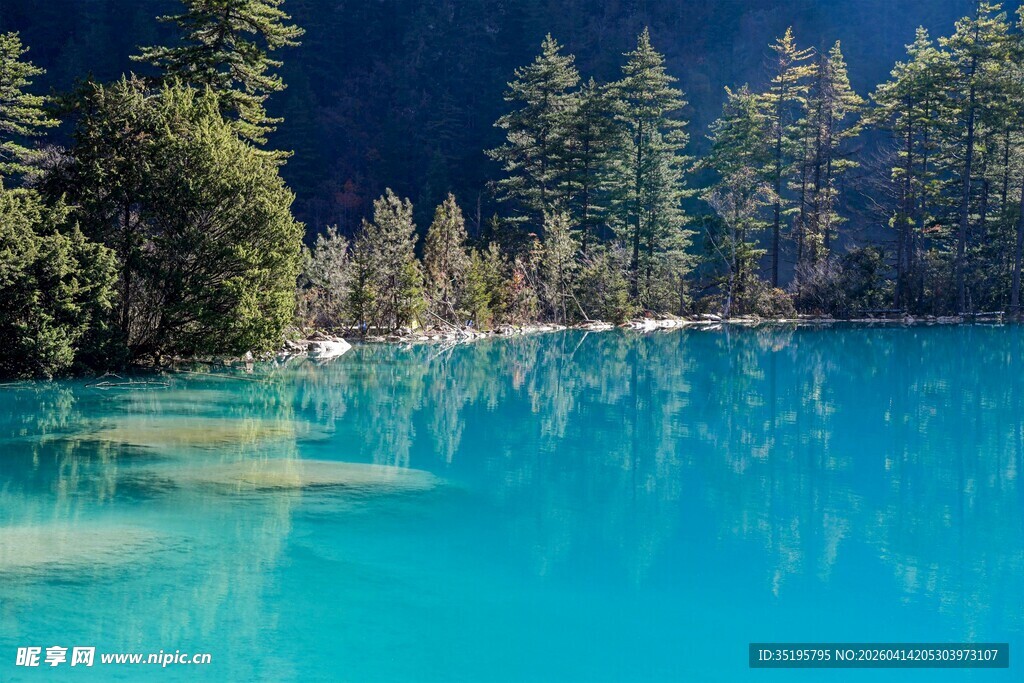 梦幻蓝湖旁的葱郁森林