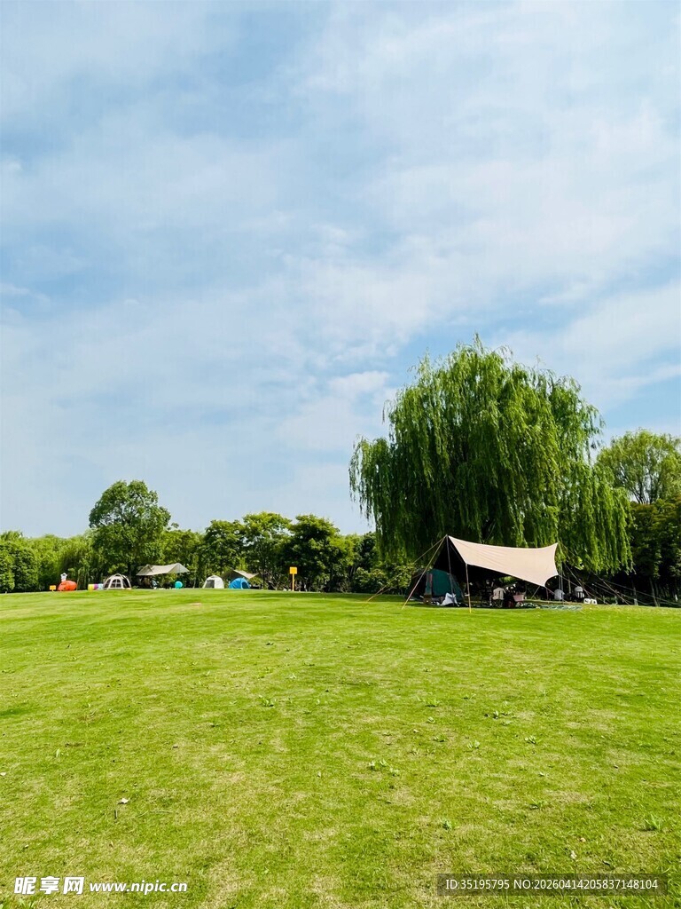 户外绿草地与露营帐篷