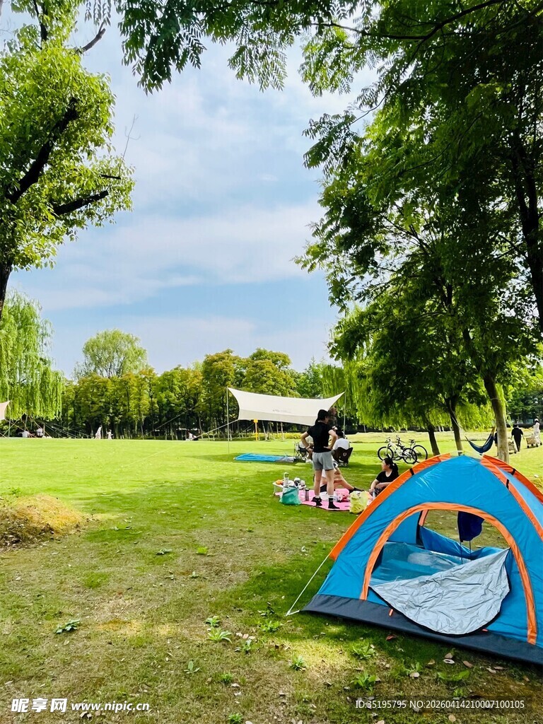 户外草地露营场景