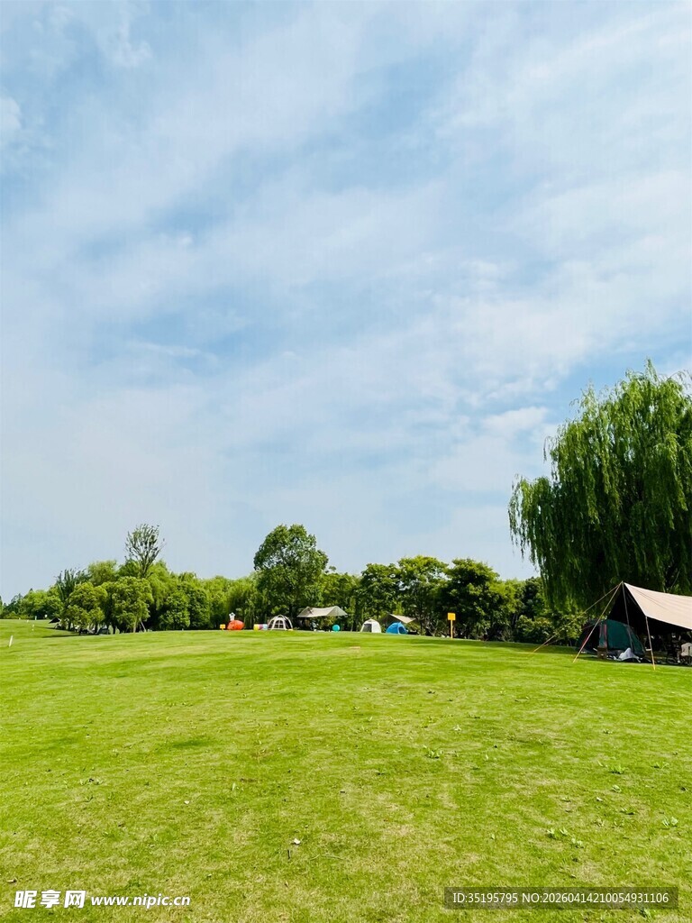 绿意盎然的户外草地风光