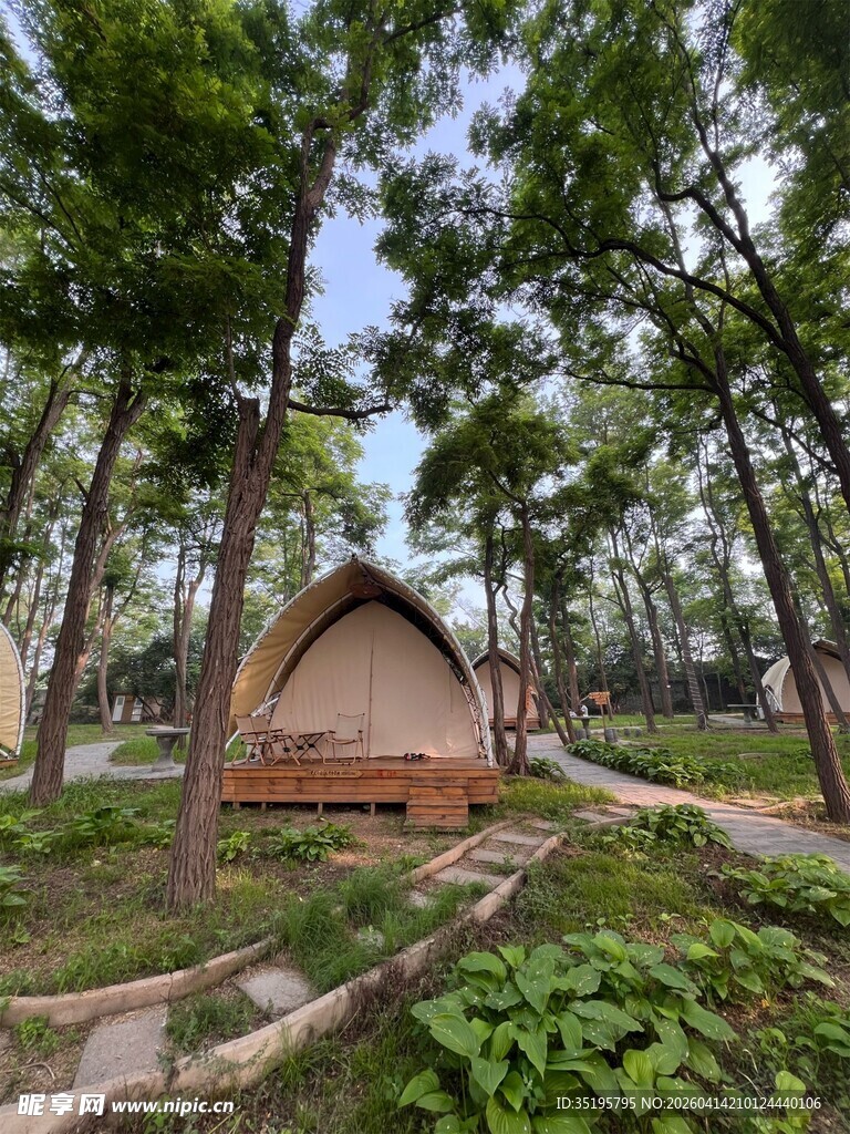 林间木屋自然中的静谧居所