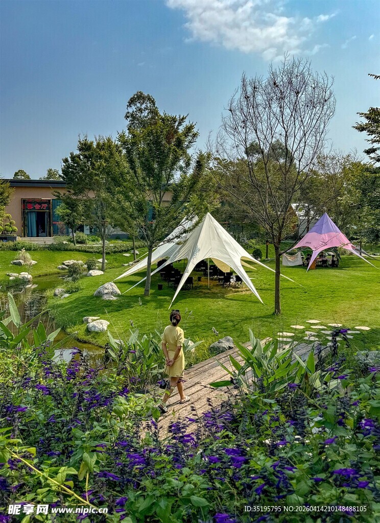 花园中的惬意露营场景