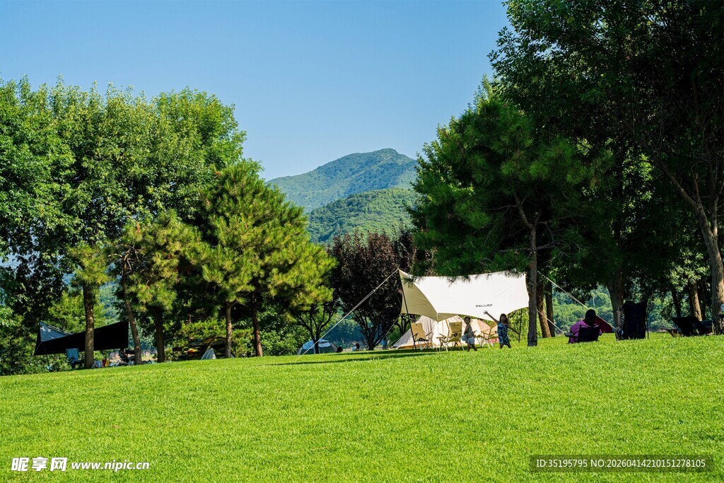 绿野中的露营帐篷