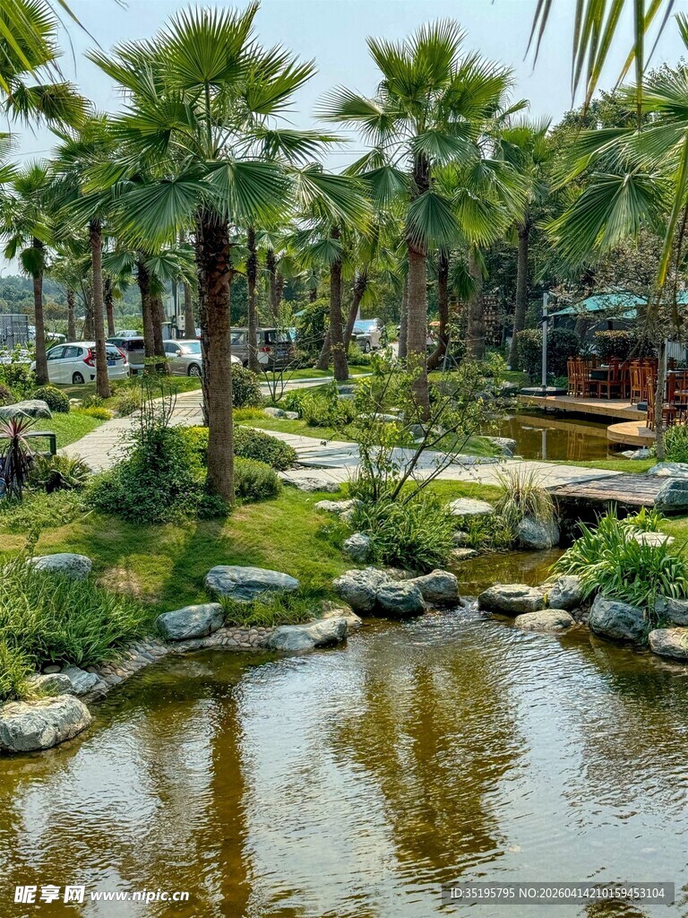 园林水景与棕榈树景观