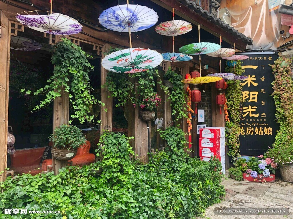 东南亚风情街边绿植装饰店