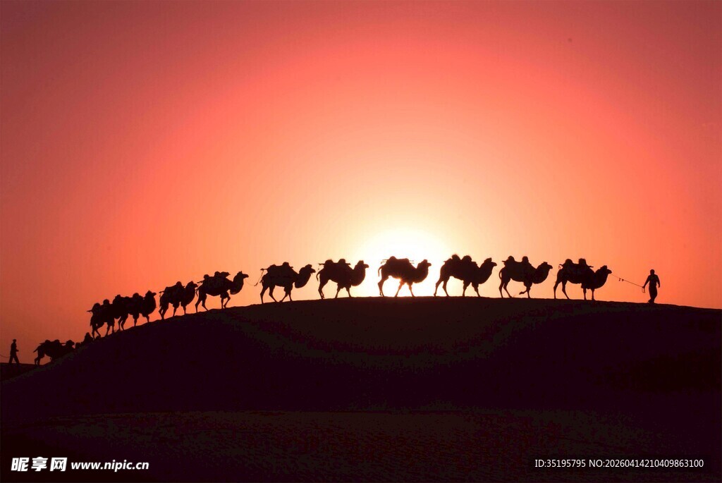 夕阳下的骆驼队剪影