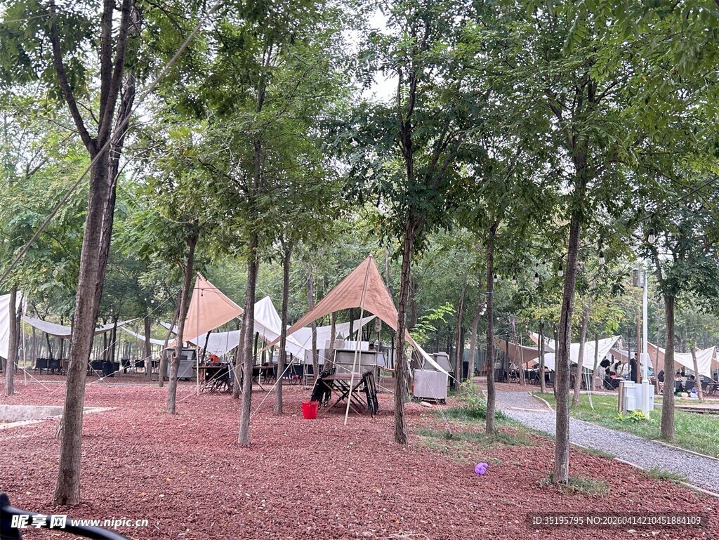 公园树林中的休闲露营场景