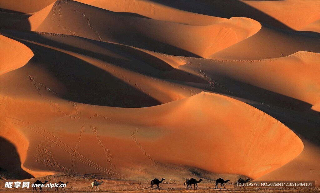 沙漠驼队穿行壮丽沙丘
