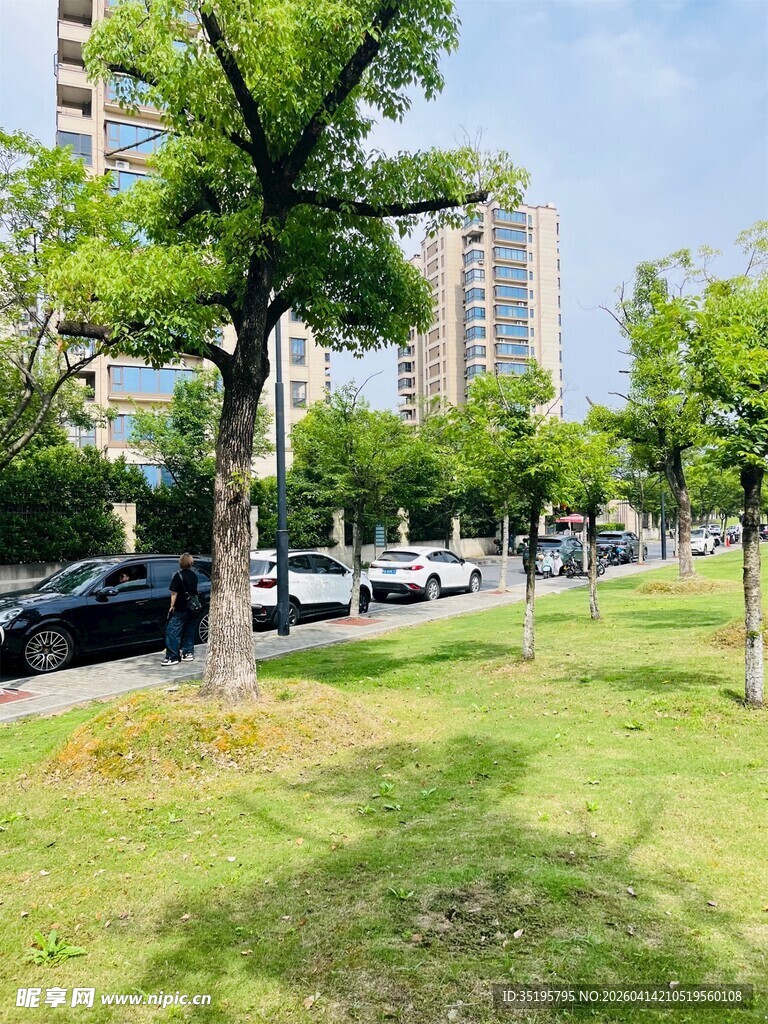 城市街边绿意盎然的景象