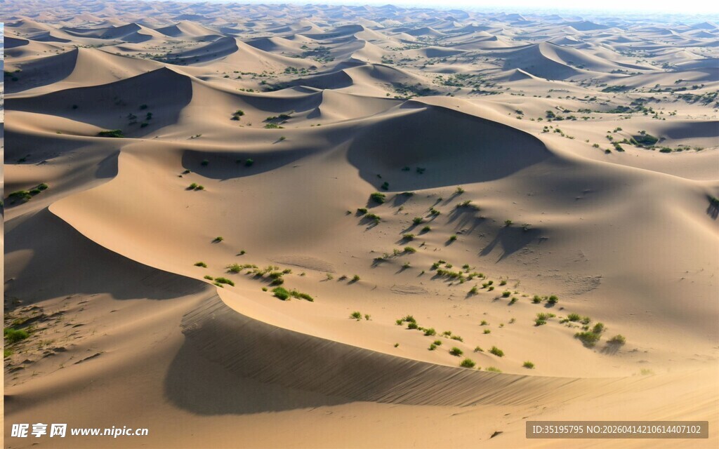 广袤沙漠沙丘景观