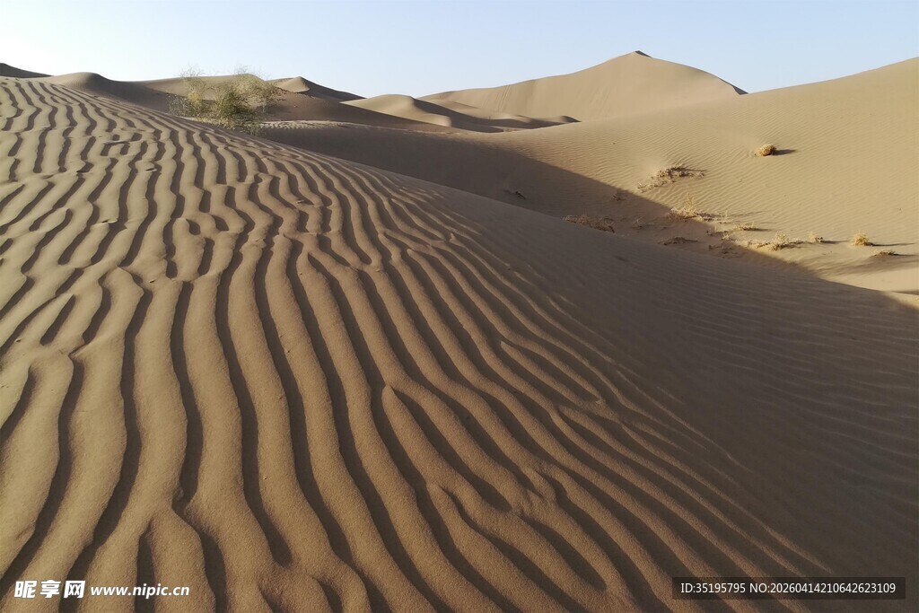 沙漠中的精美沙纹景观