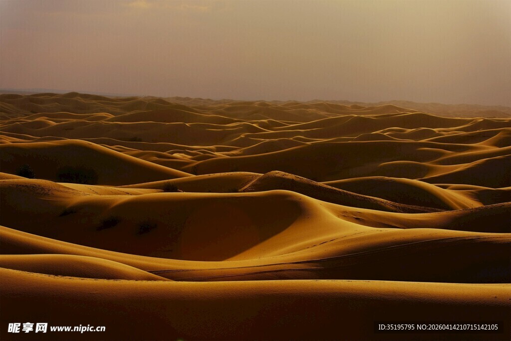 金色沙丘沙漠美丽景致