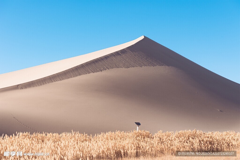 沙漠之丘与金黄植被景观
