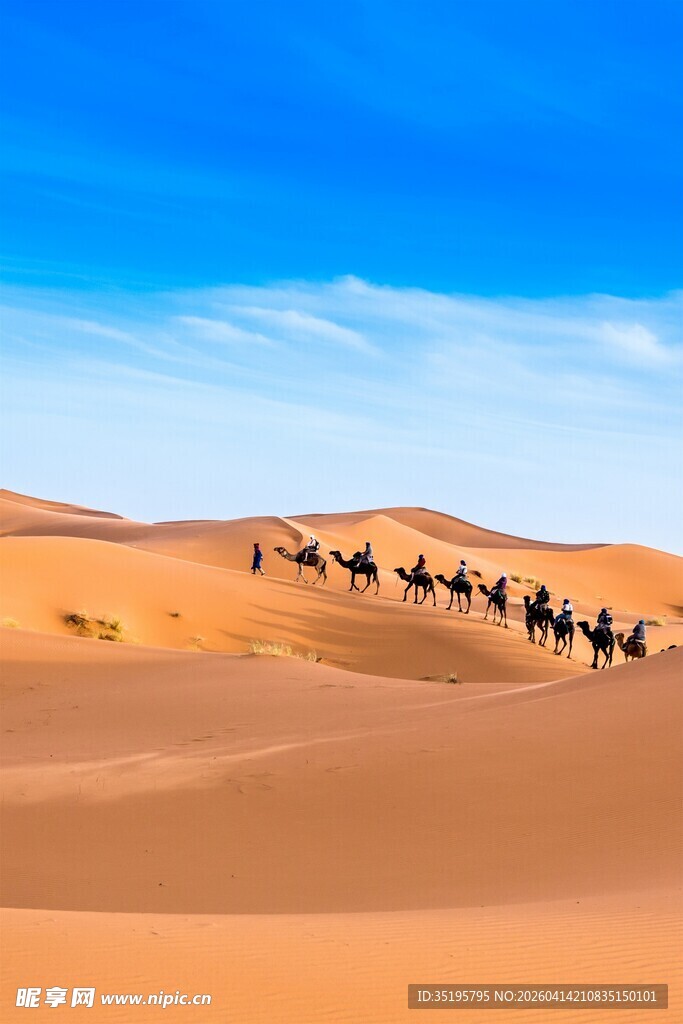 沙漠中行进的骆驼队伍