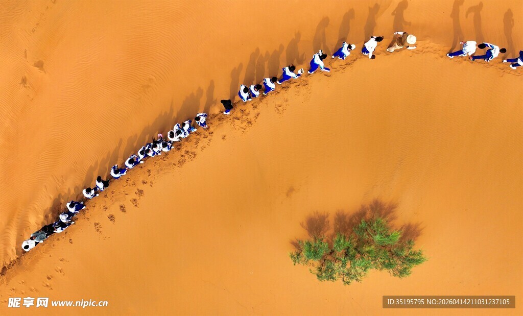 沙漠驼队穿行于绿洲旁