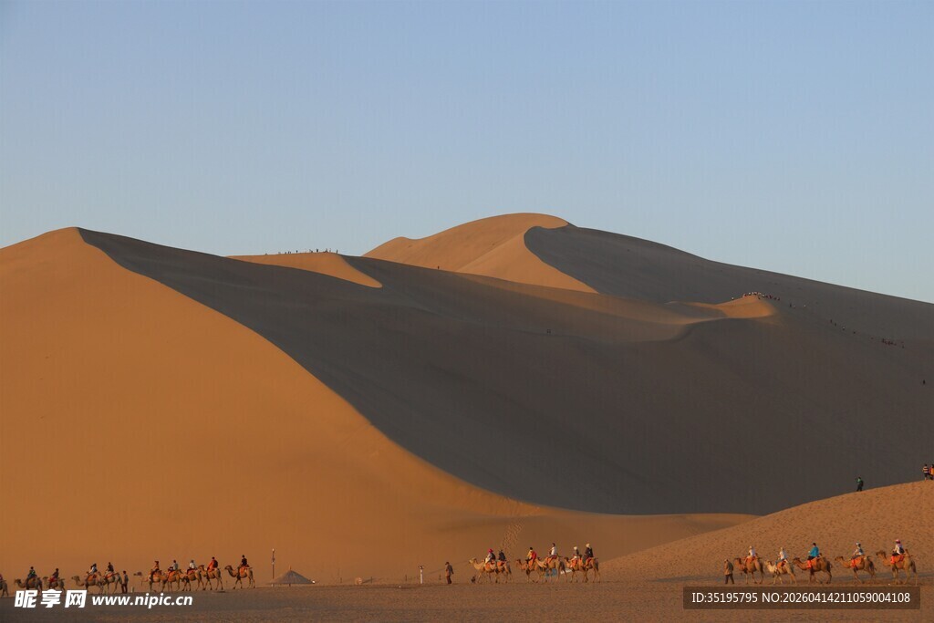 沙漠驼队景观