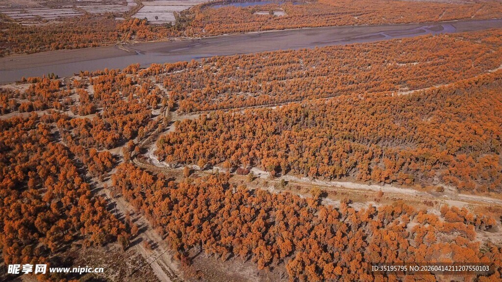 秋日山林俯瞰美景