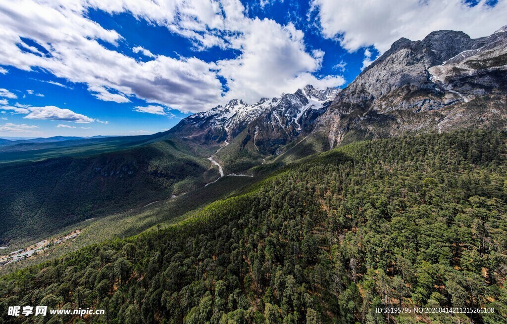 壮丽山景与葱郁森林