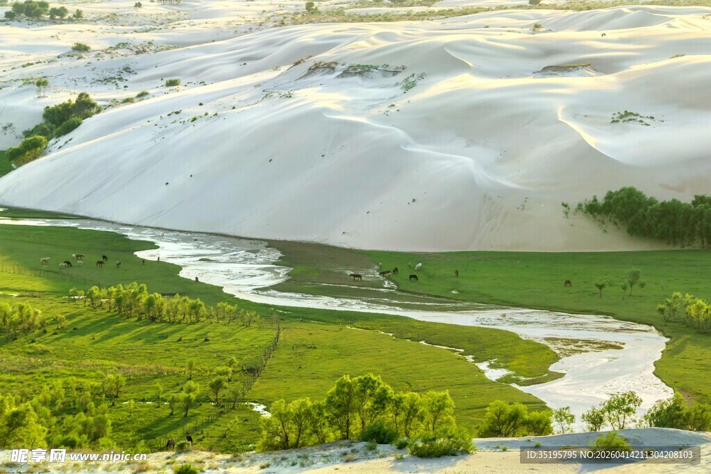 沙漠绿洲中的蜿蜒河流