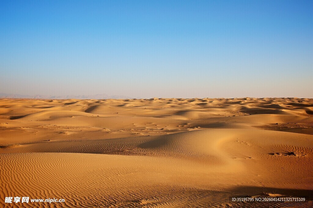 广袤沙漠景观