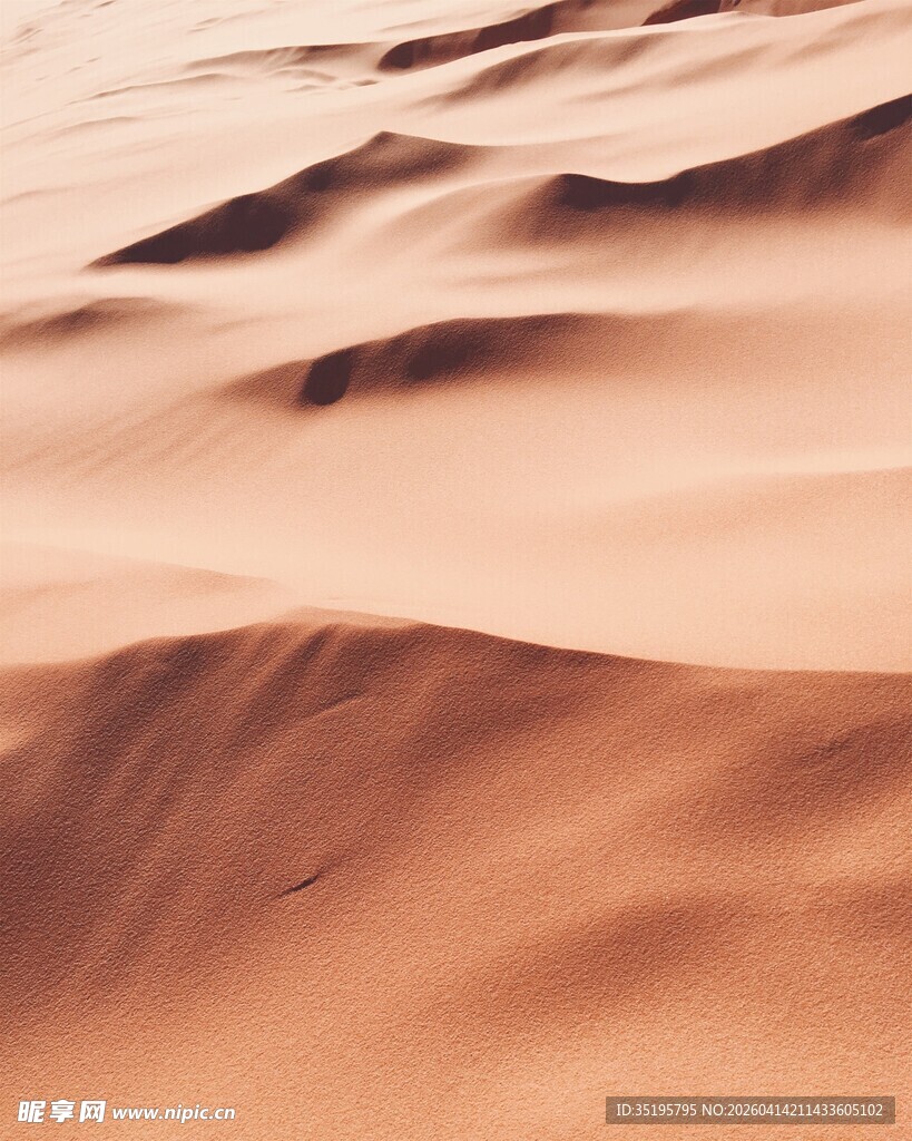 沙漠起伏的金色沙丘