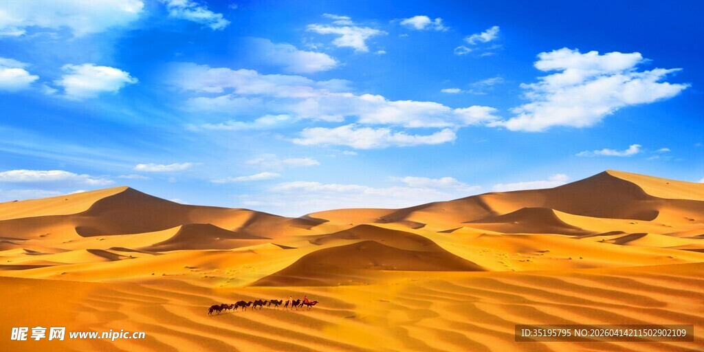 壮丽沙漠风光