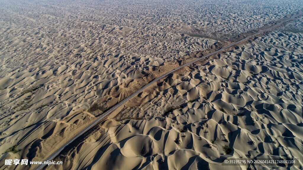 沙漠中的车辙印记