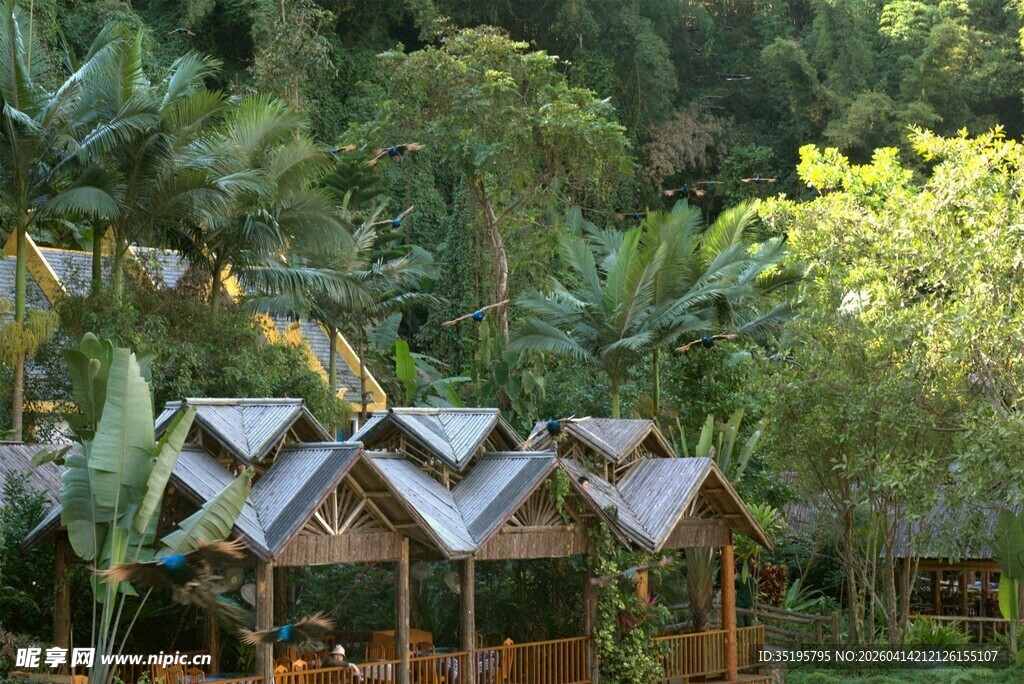 森林中的别致木屋