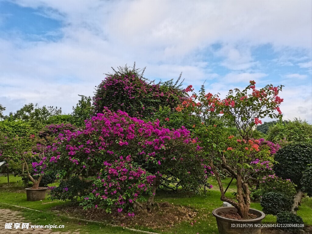 繁花似锦的园林景观