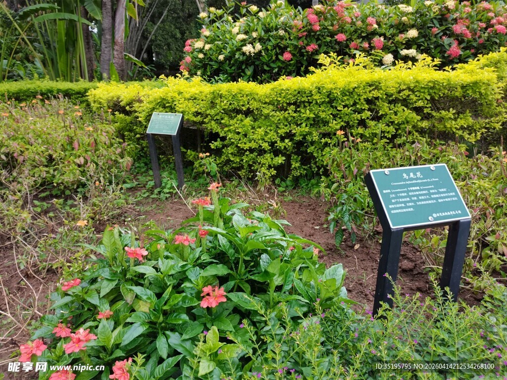 花园中的信息展示牌