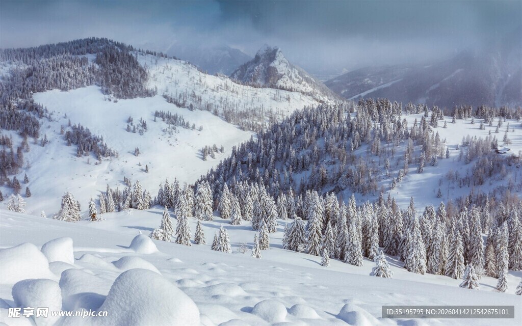 冬日雪山松林美景