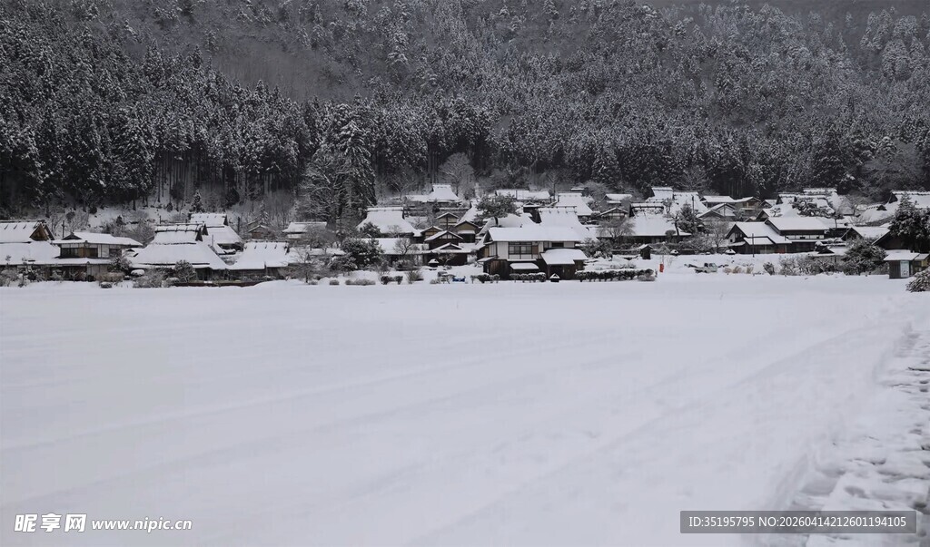 冬日雪覆村庄美景