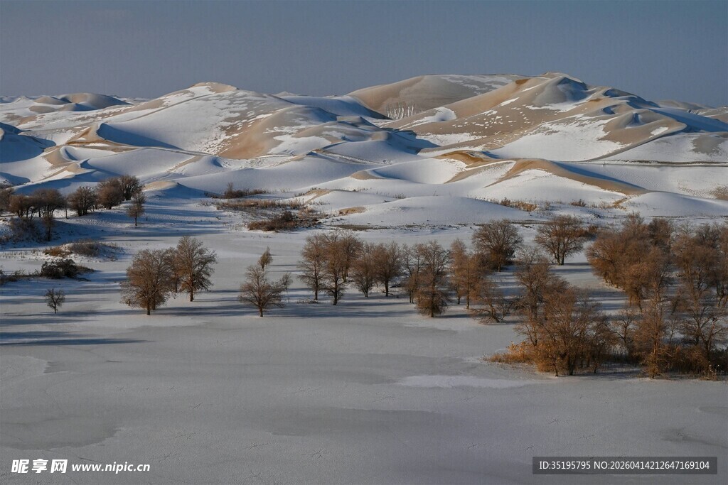 冬日雪覆山丘的静谧景致