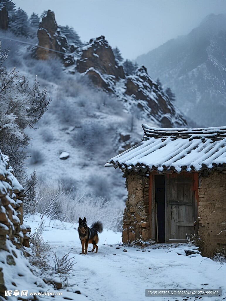 雪中山村小屋与双犬