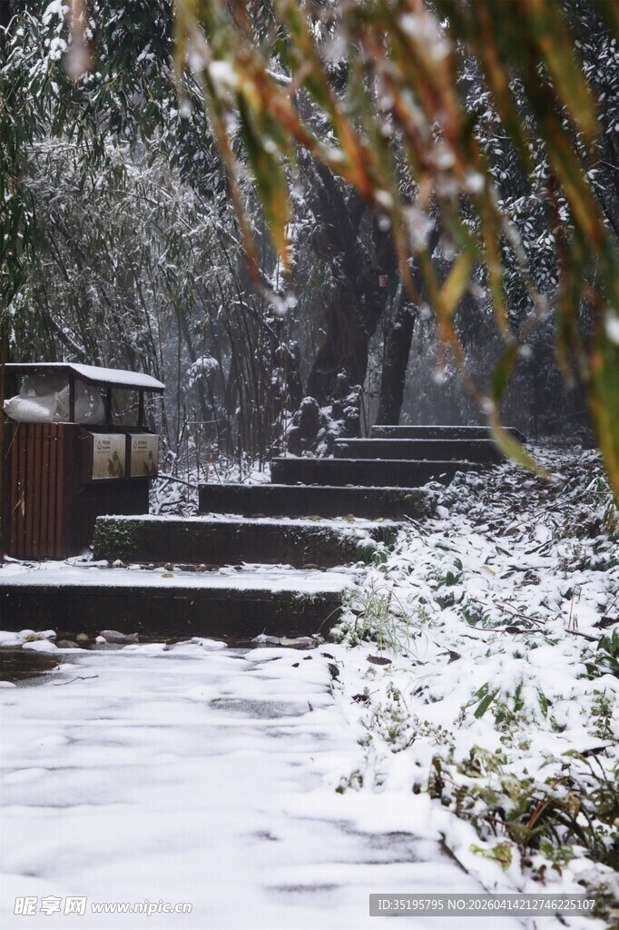 雪覆山林间的静谧景致