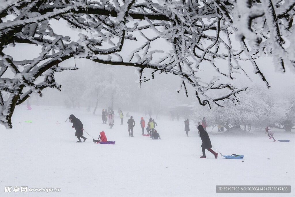 雪地中人们欢乐玩耍场景