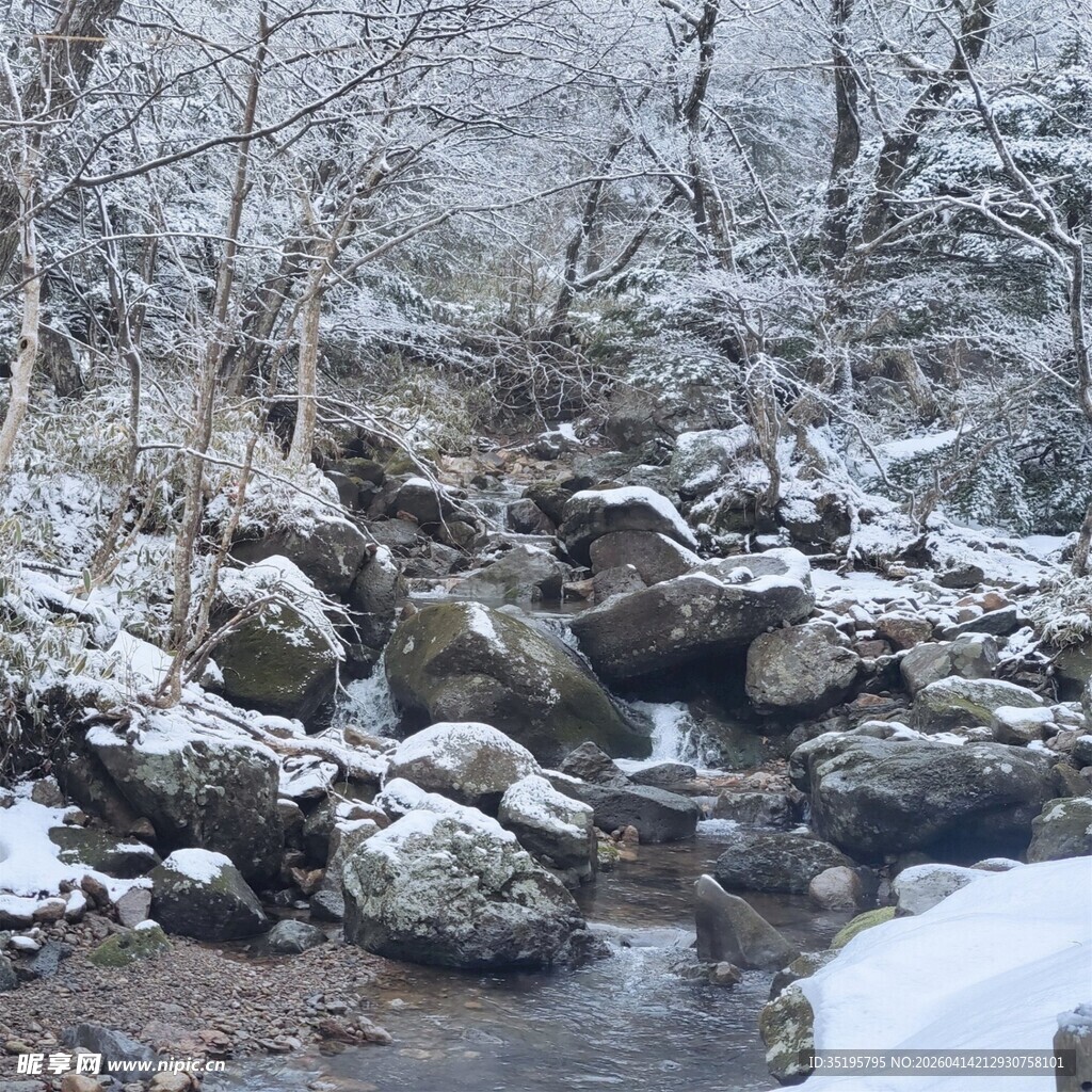 冬日溪流雪景